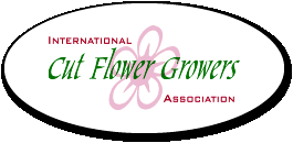 internationalcutflowers